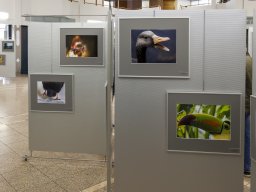 Fotokreis Lörrach - Annika Berger Müller