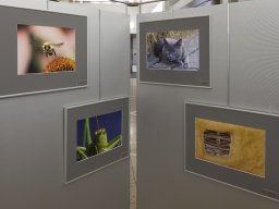 Fotokreis Lörrach - Annika Berger Müller