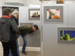 Fotokreis Lörrach - Annika Berger Müller