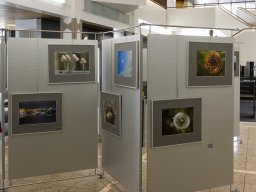 Fotokreis Lörrach - Annika Berger Müller