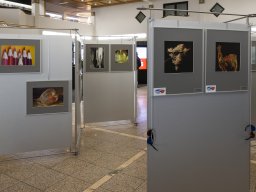 Fotokreis Lörrach - Annika Berger Müller