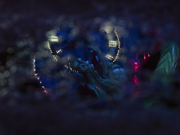 Herbstmesse - Sabine Huber