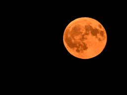 Vollmond