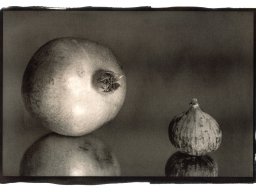 granatapfel_feige