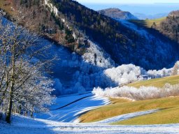 photoallschwil_joetheiler_17