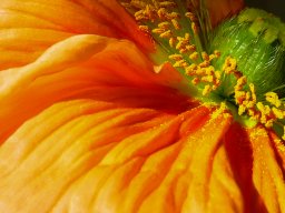 photoallschwil_joetheiler_18
