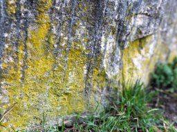 photoallschwil_joetheiler_3
