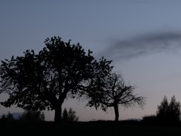 Vollmondfotografie; Sabina Huber