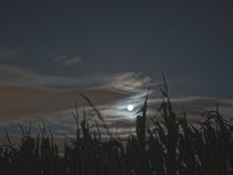 Vollmondfotografie; Sabina Huber